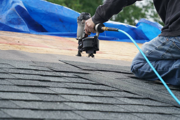 Best Roof Gutter Cleaning  in Skyline View, PA